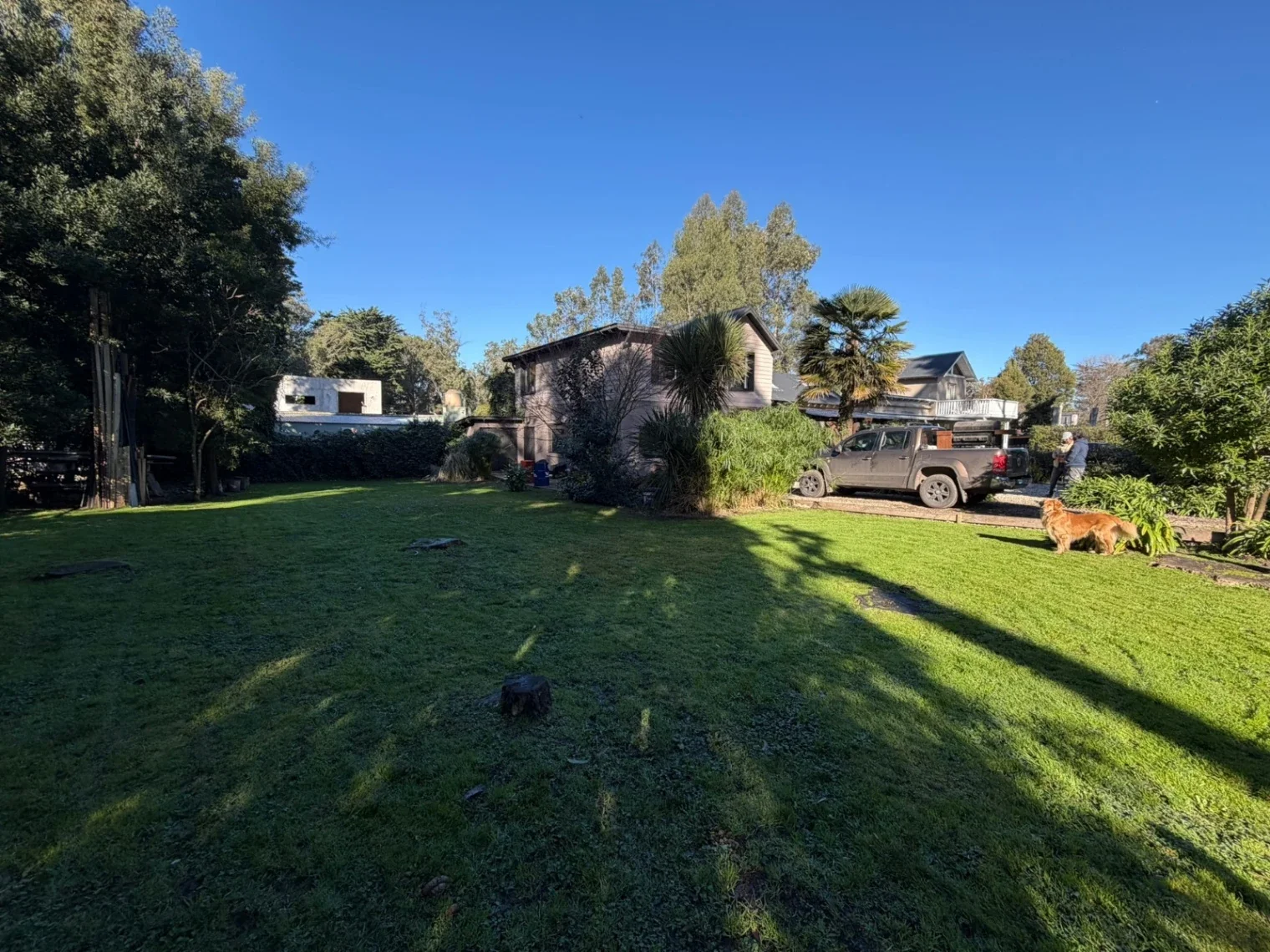 Casa de 3 dormitorios con quincho sobre lote de 900 m² Bosque Peralta Ramos - Imagen 4