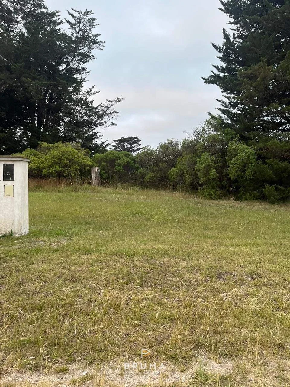 Terreno / Lote en venta de 630m2 ubicado en Miramar - Imagen 4
