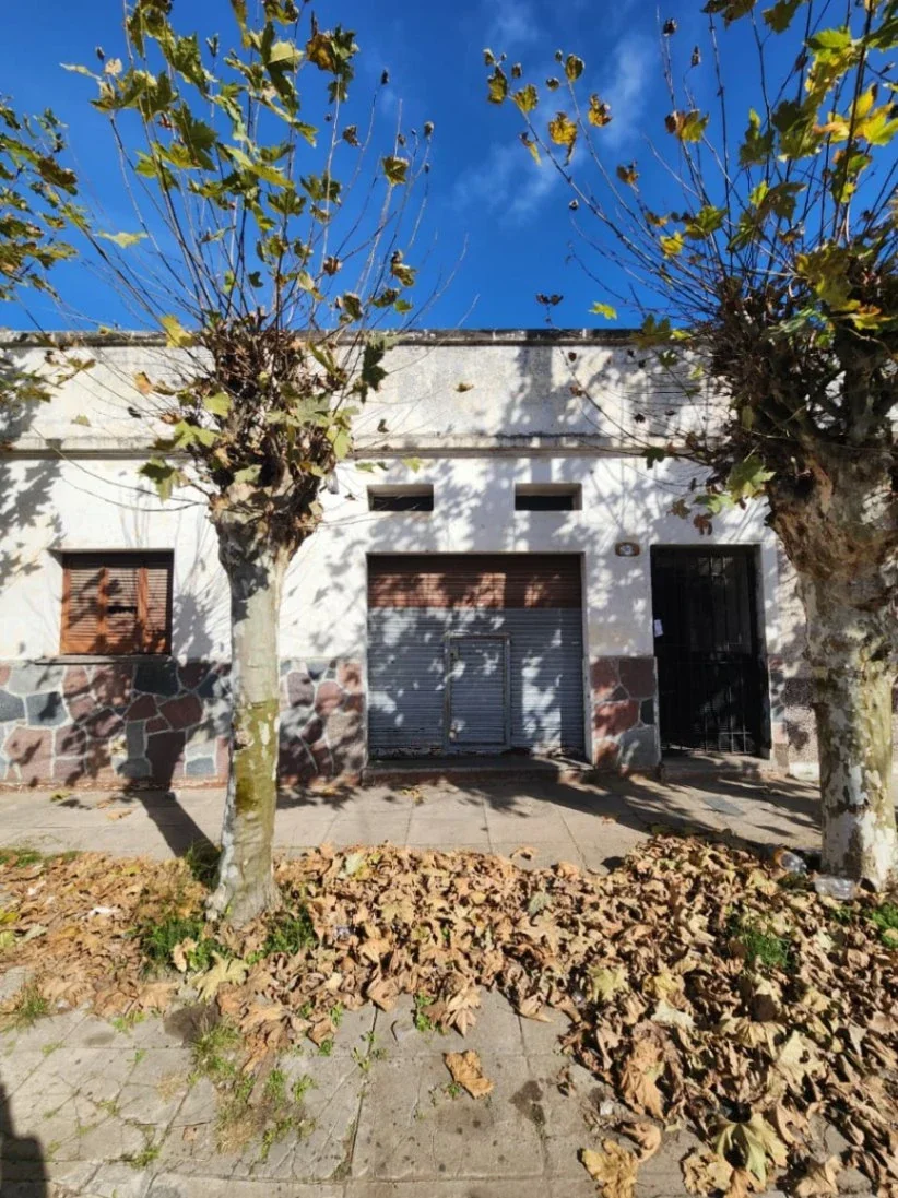 VENTA. Lote de 8,66 x 43,30mts. Casa 4 ambientes a mejorar. VILLA CELINA. - Imagen 1