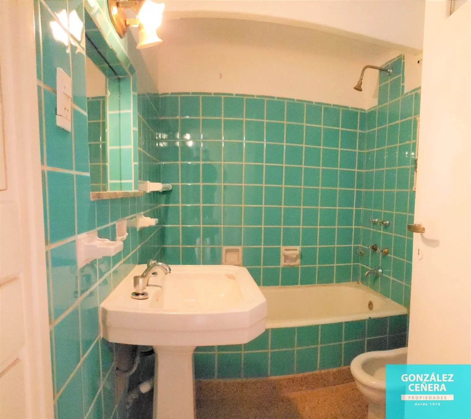 Departamento en alquiler en Villa Mitre - Imagen 4