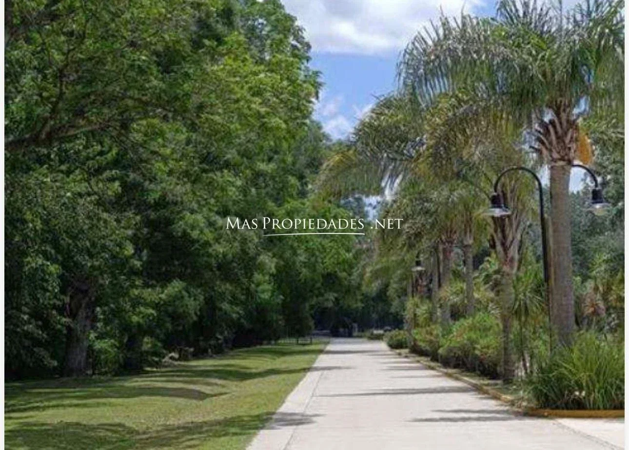 Venta Terreno / Lote interno en La Magdalena Canning - Imagen 3