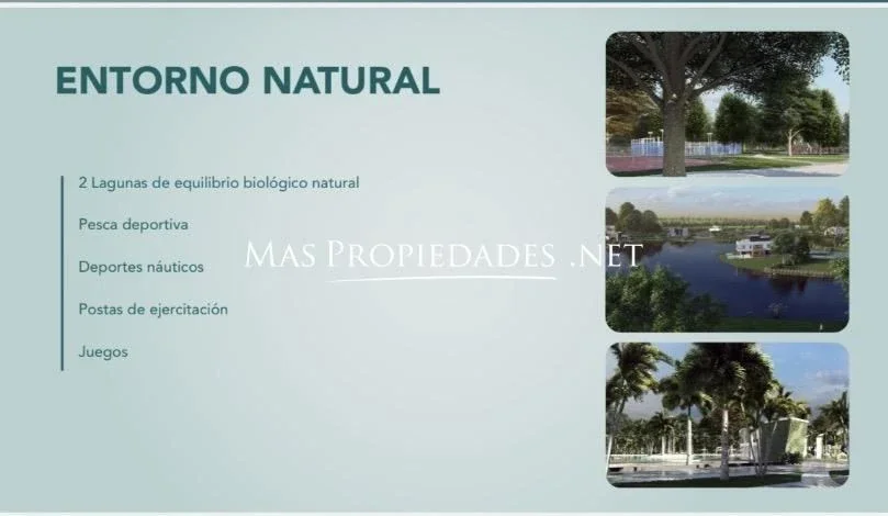 Venta Terreno / Lote en Forest Canning - Imagen 5