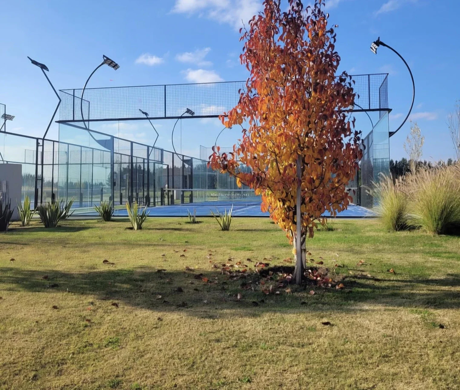 Venta Terreno / Lote en Las victorias Canning - Imagen 5