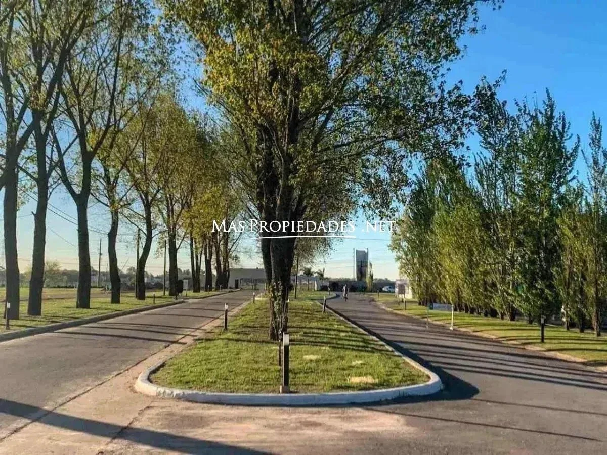 Venta Terreno / Lote interno en La Alameda Canning - Imagen 2