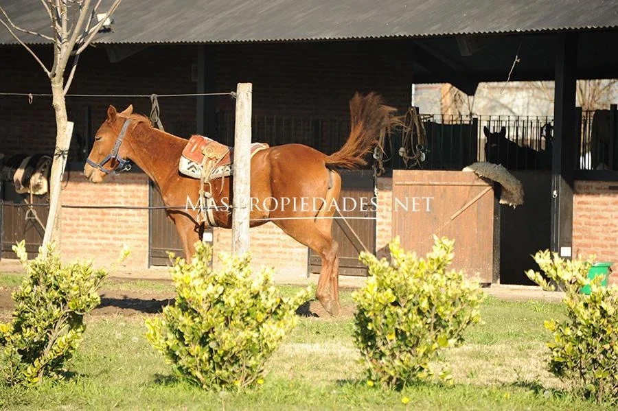 Venta Terreno / Lote en Chacras de la Trinidad Cañuelas - Imagen 4