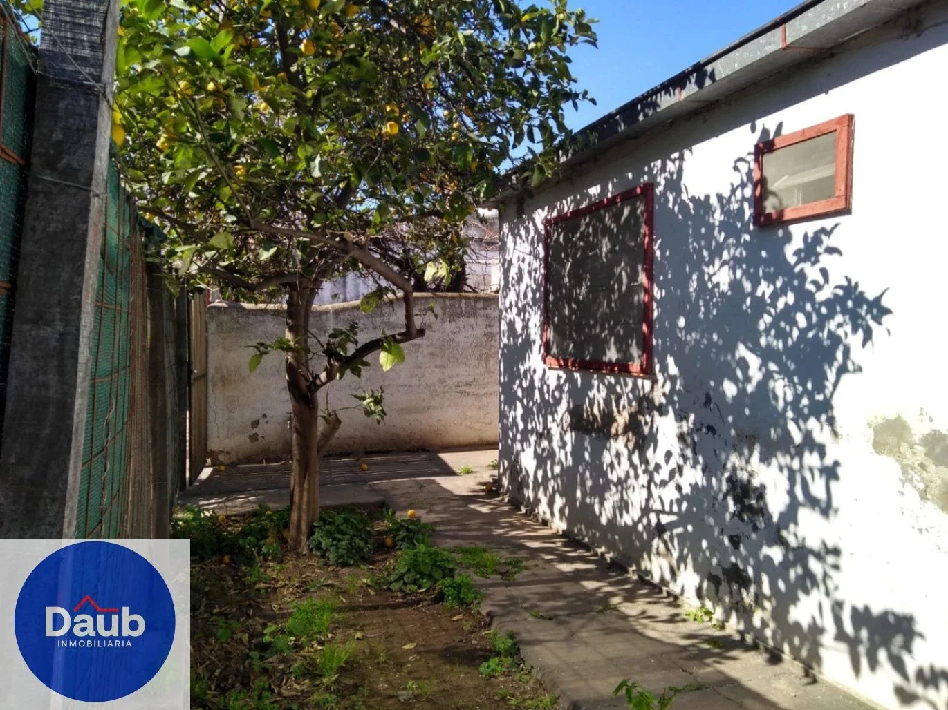 ALQUILER casa interna 1 D con patio Saavedra 1.600 $ 480.000 - Imagen 5