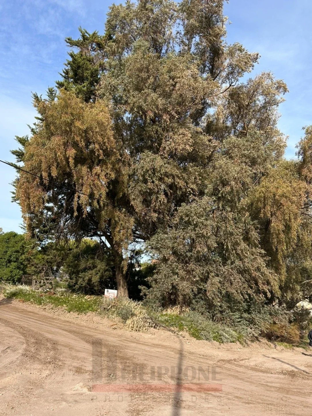 Terreno en venta en Balneario Sauce Grande - Monte Hermoso - Imagen 4