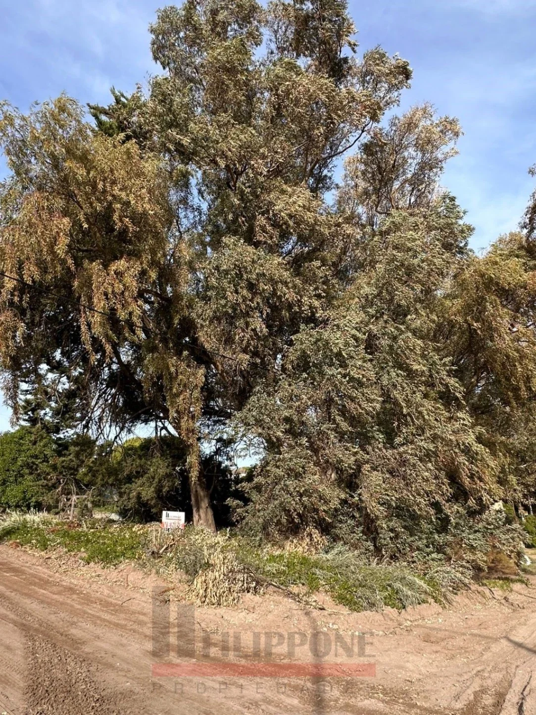 Terreno en venta en Balneario Sauce Grande - Monte Hermoso - Imagen 5