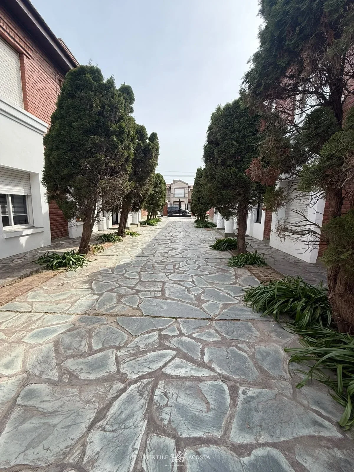 Departamento en alquiler c/ cochera en Tandil - Imagen 2