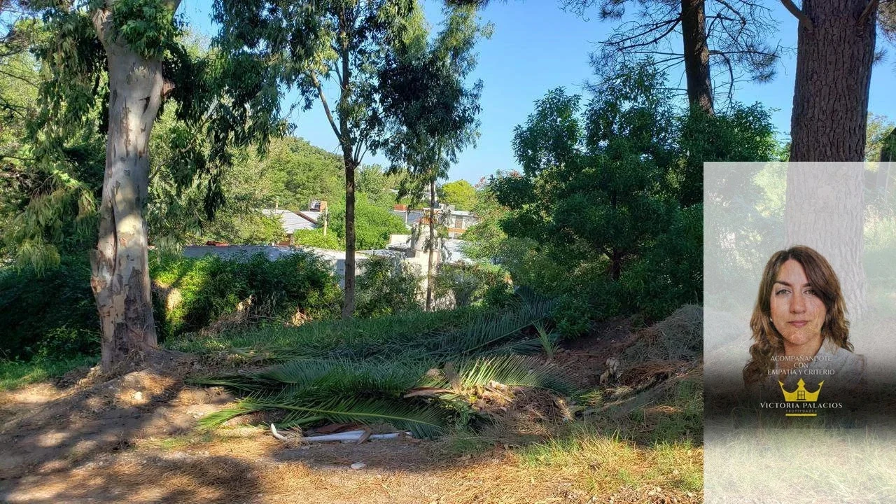 Terreno / Lote en venta de 456m2 ubicado en Monte Hermoso - Imagen 3