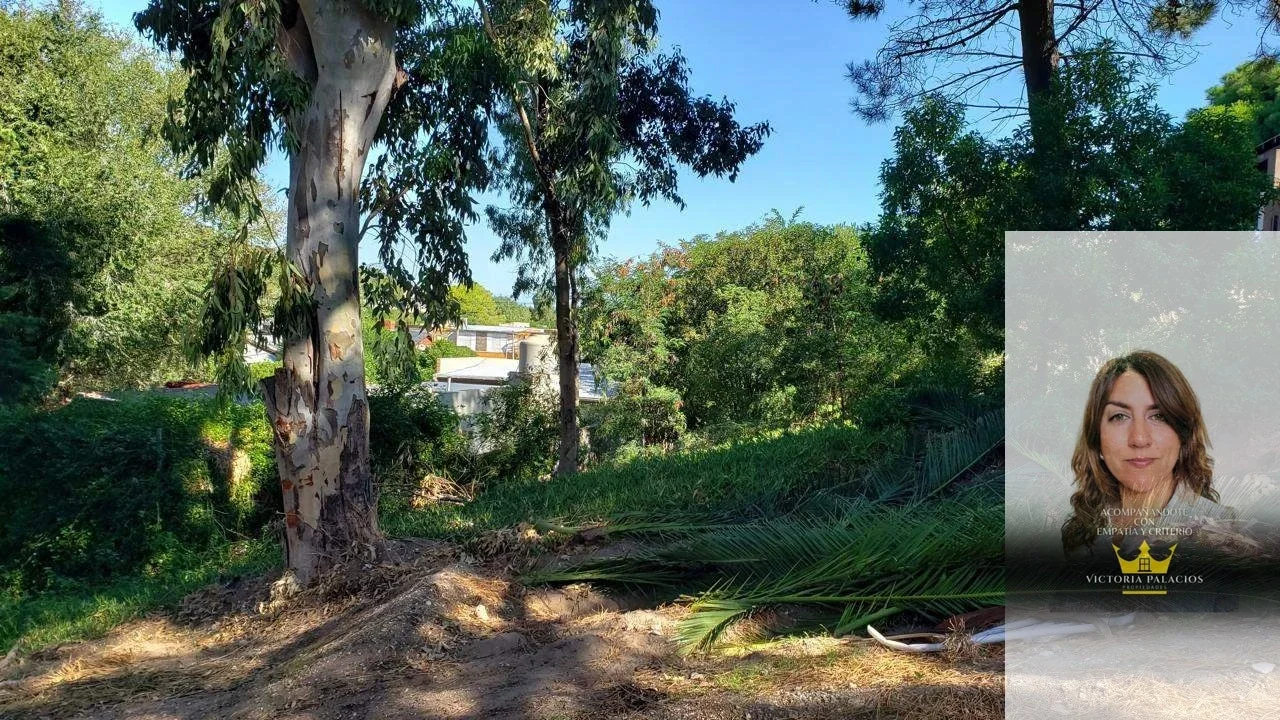 Terreno / Lote en venta de 456m2 ubicado en Monte Hermoso - Imagen 2