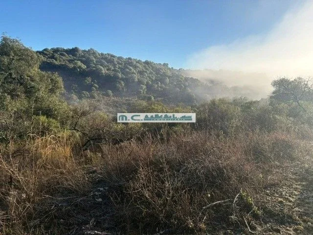 LE203. CUESTA BLANCA.  LOTE 3075 MTS S/SERV.  EXCELENTE UBICACION - Imagen 4