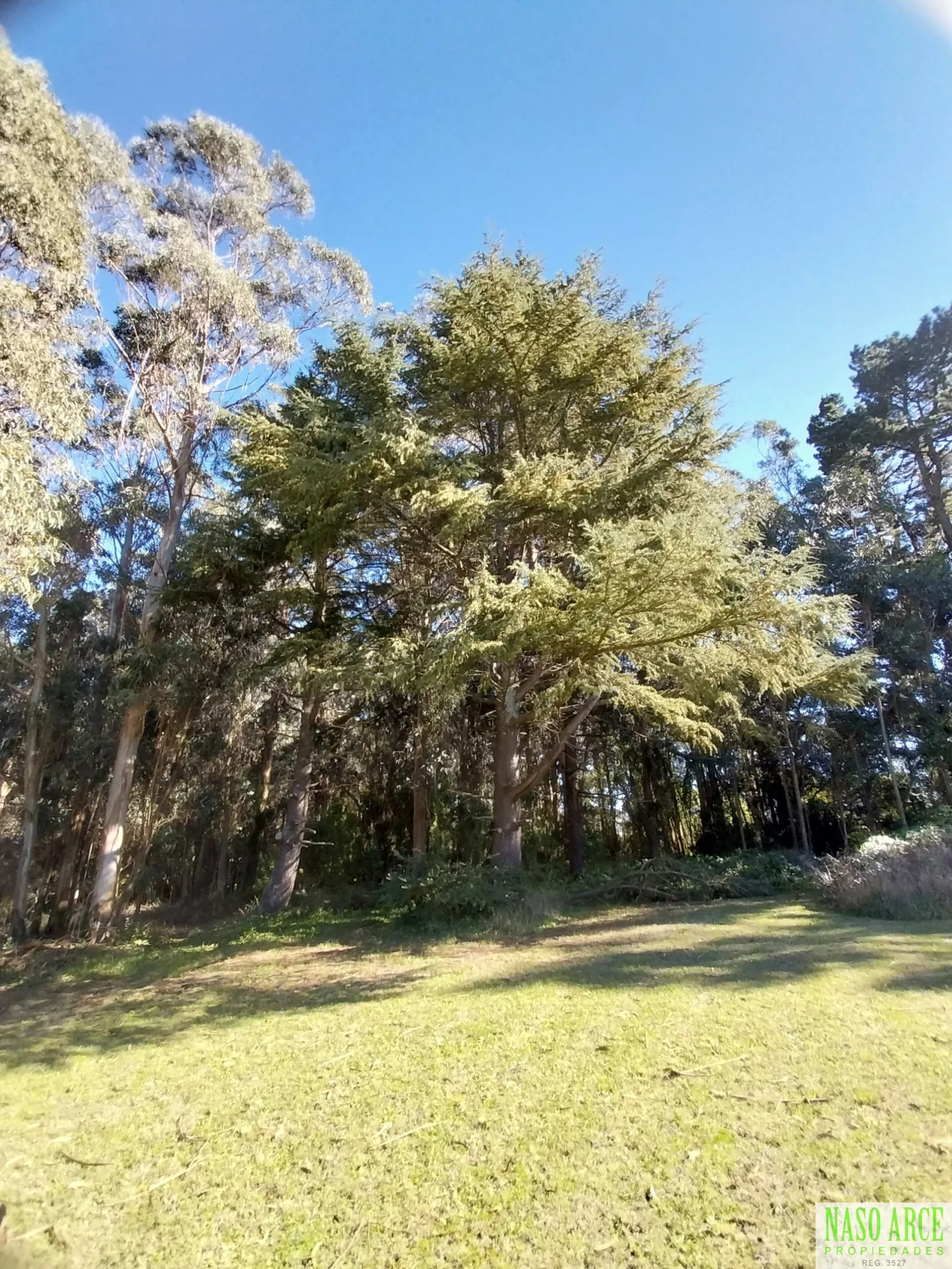 Excelente Lote de 8.100 m² en La Gloria De La Peregrina, Sierra de los Padres. - Imagen 5