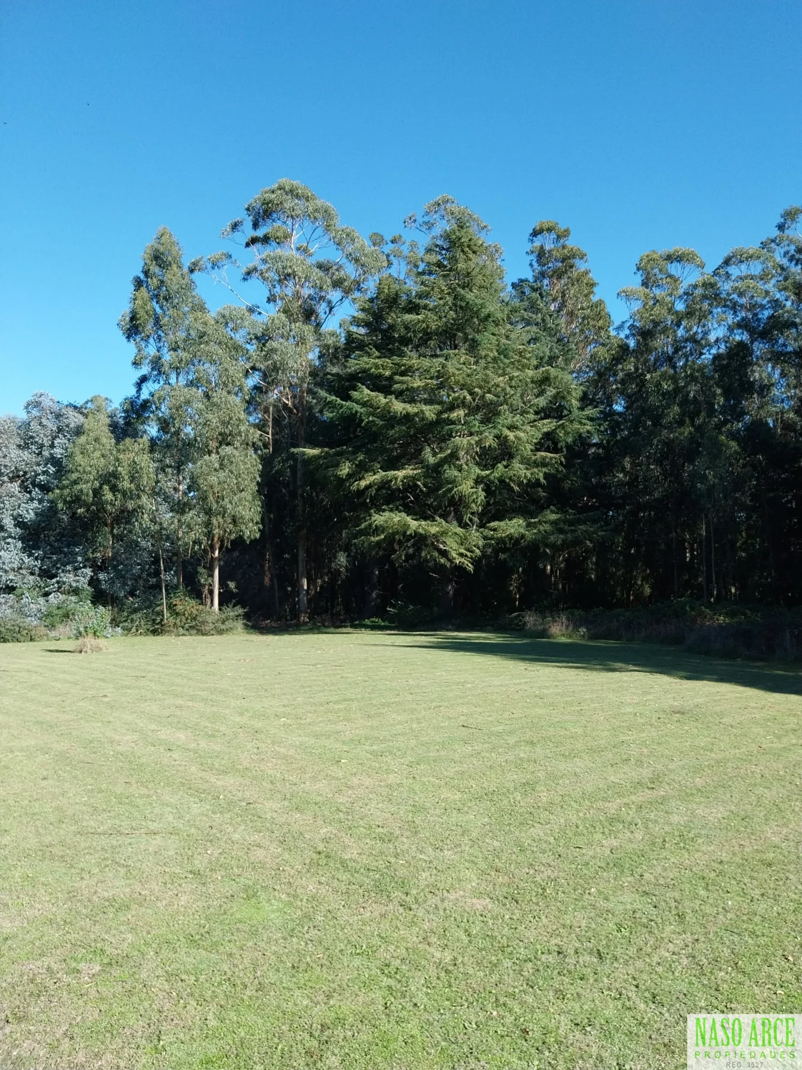 Excelente Lote de 8.100 m² en La Gloria De La Peregrina, Sierra de los Padres. - Imagen 2