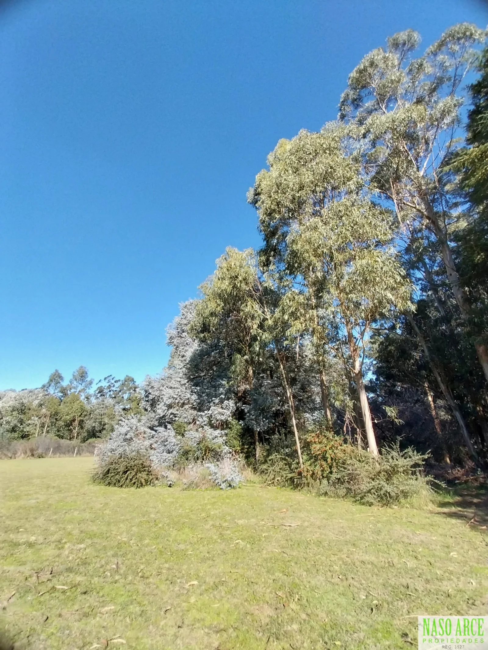 Excelente Lote de 8.100 m² en La Gloria De La Peregrina, Sierra de los Padres. - Imagen 4