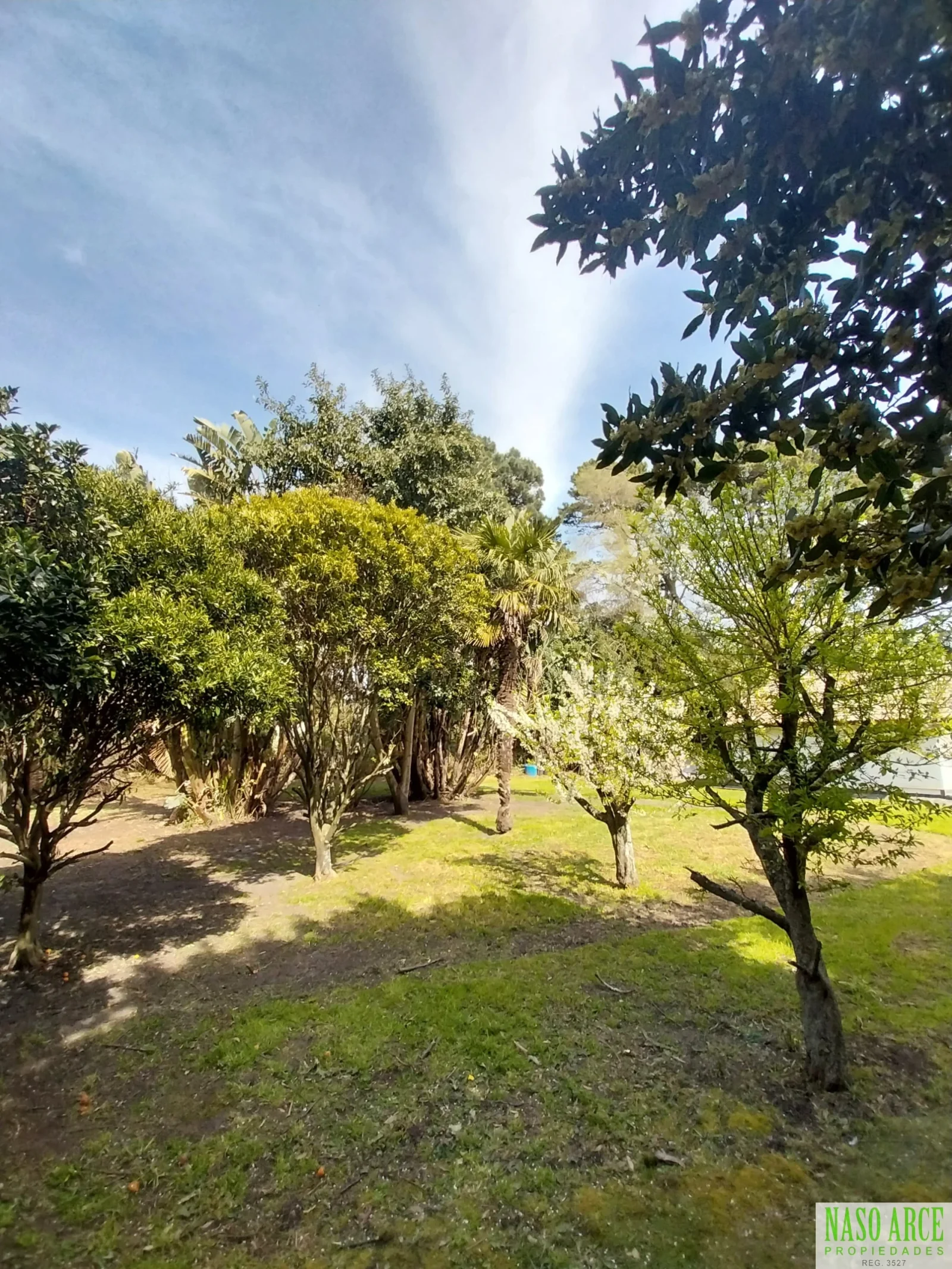 Terreno / Lote en venta de 636 m² ubicado en Sierra de los Padres. Sobre asfalto - Imagen 5