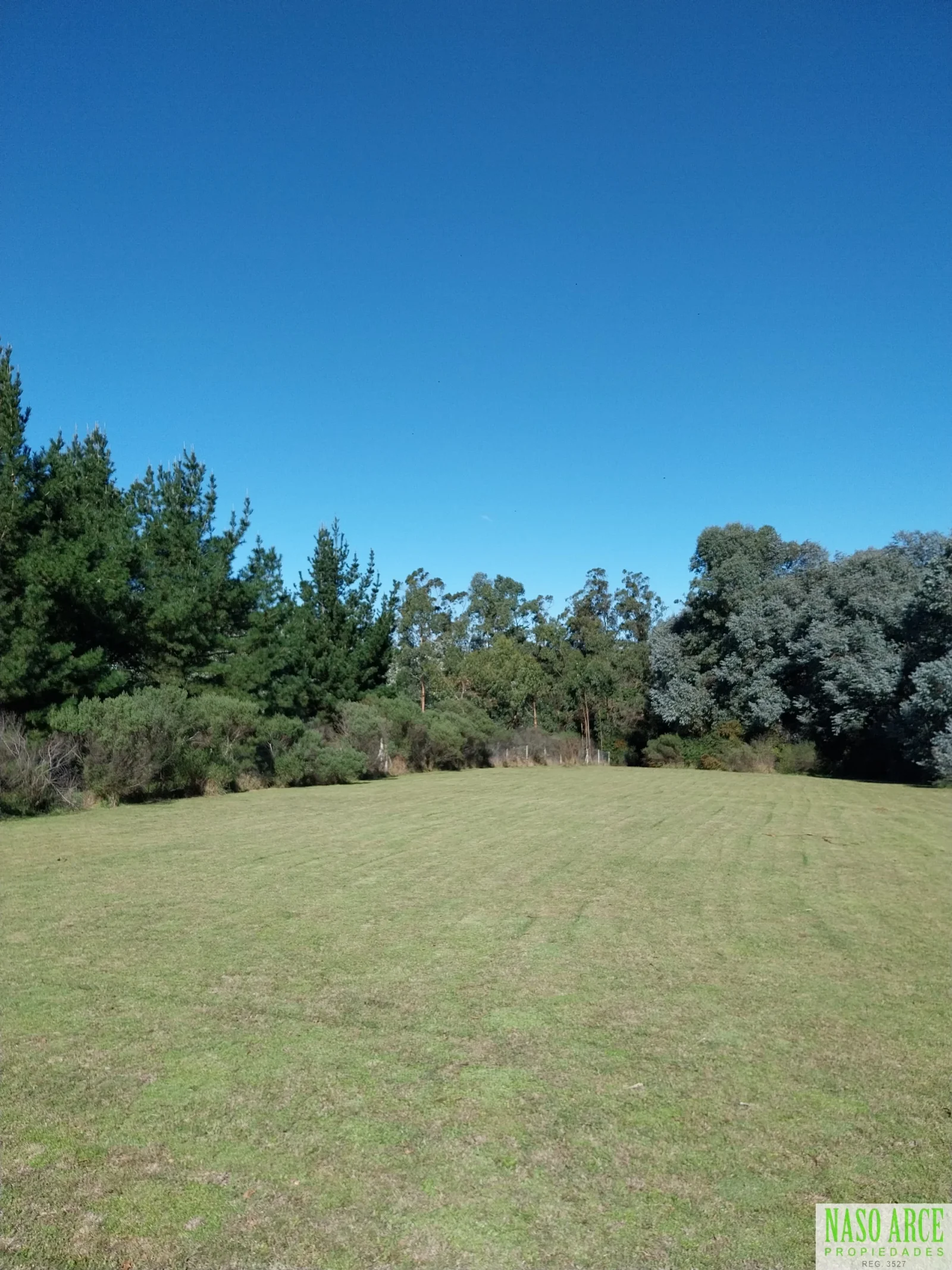 Excelente Lote de 8.100 m² en La Gloria De La Peregrina, Sierra de los Padres. - Imagen 1