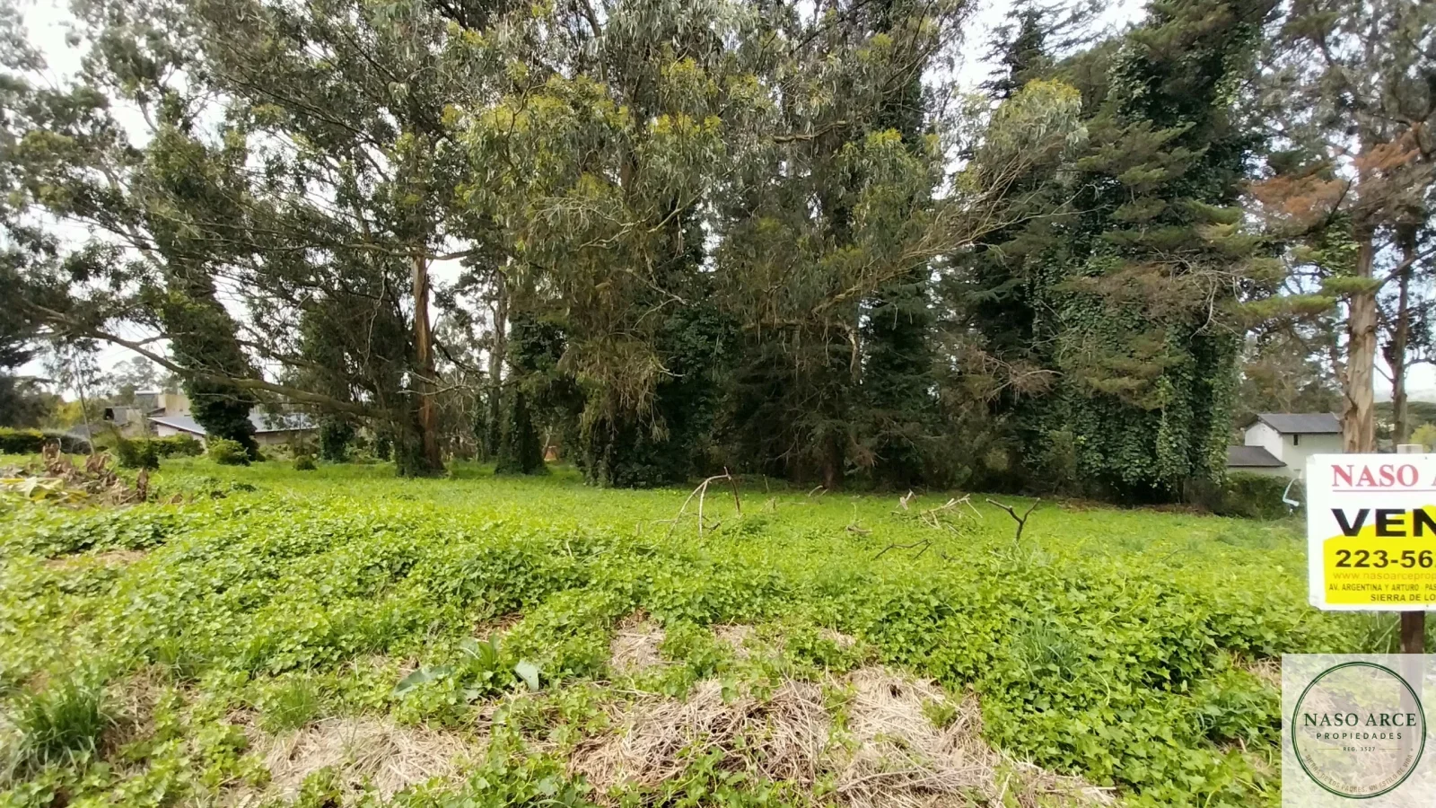 LOTE EN VENTA ZONA CAMPOS DE TOLEDO - Imagen 3