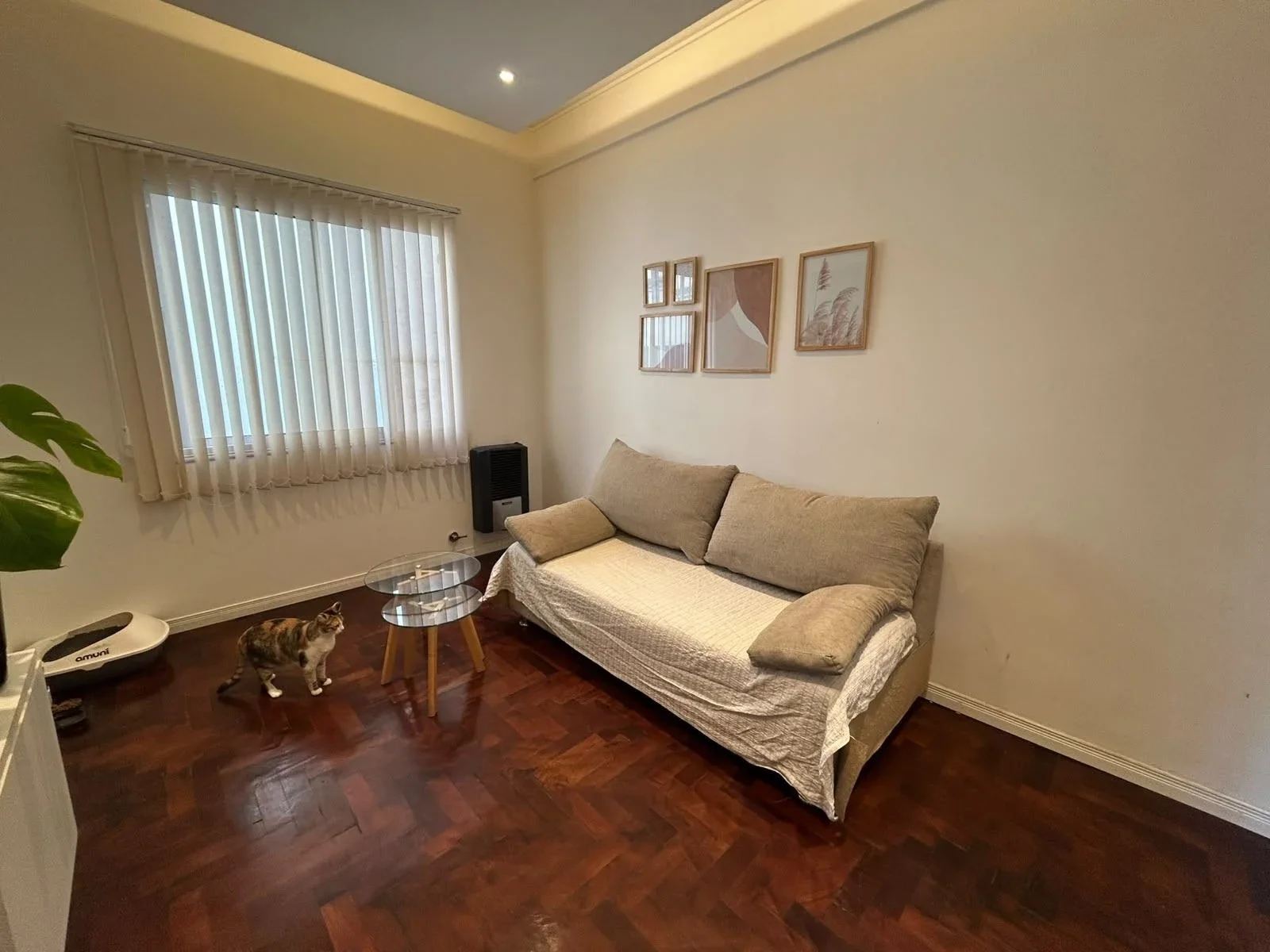 Departamento en alquiler en Plaza Mitre - Imagen 5