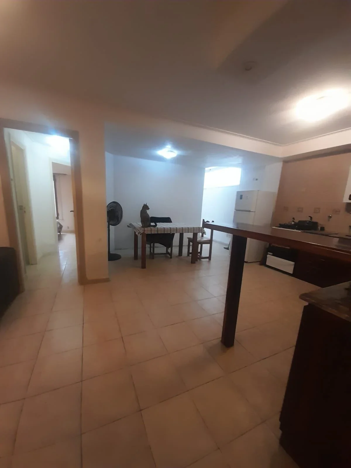 VENTA: Imponente Lote en Bloque / Propiedad Multifamiliar - Imagen 5