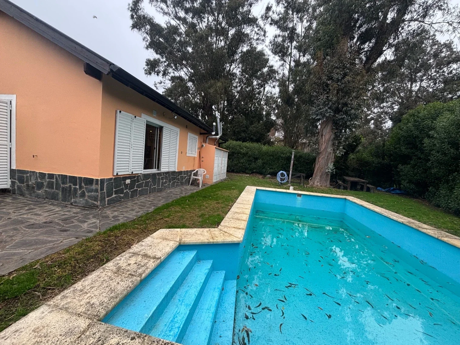 Alquiler 24 meses Chalet con Piscina en Sierra de los Padres - Imagen 3
