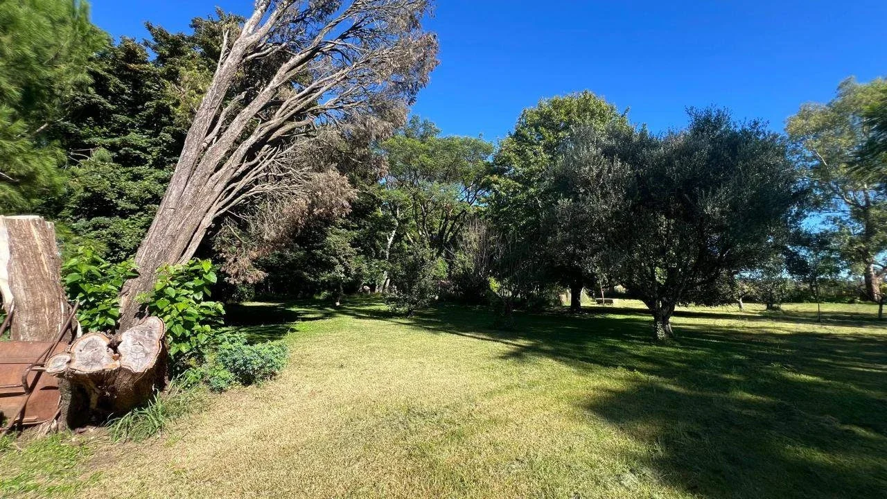 Campo "La Negrita" - Imagen 4