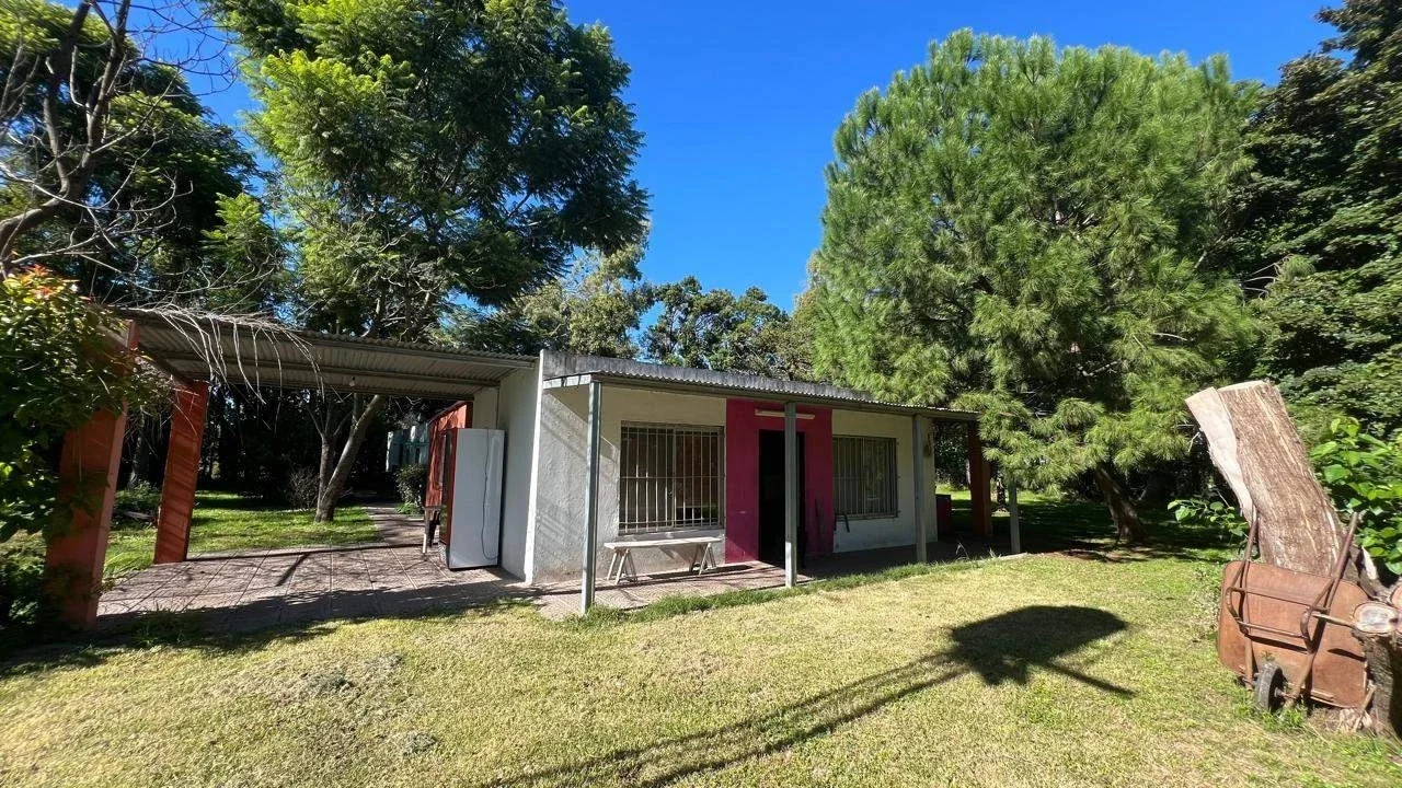 Campo "La Negrita" - Imagen 1