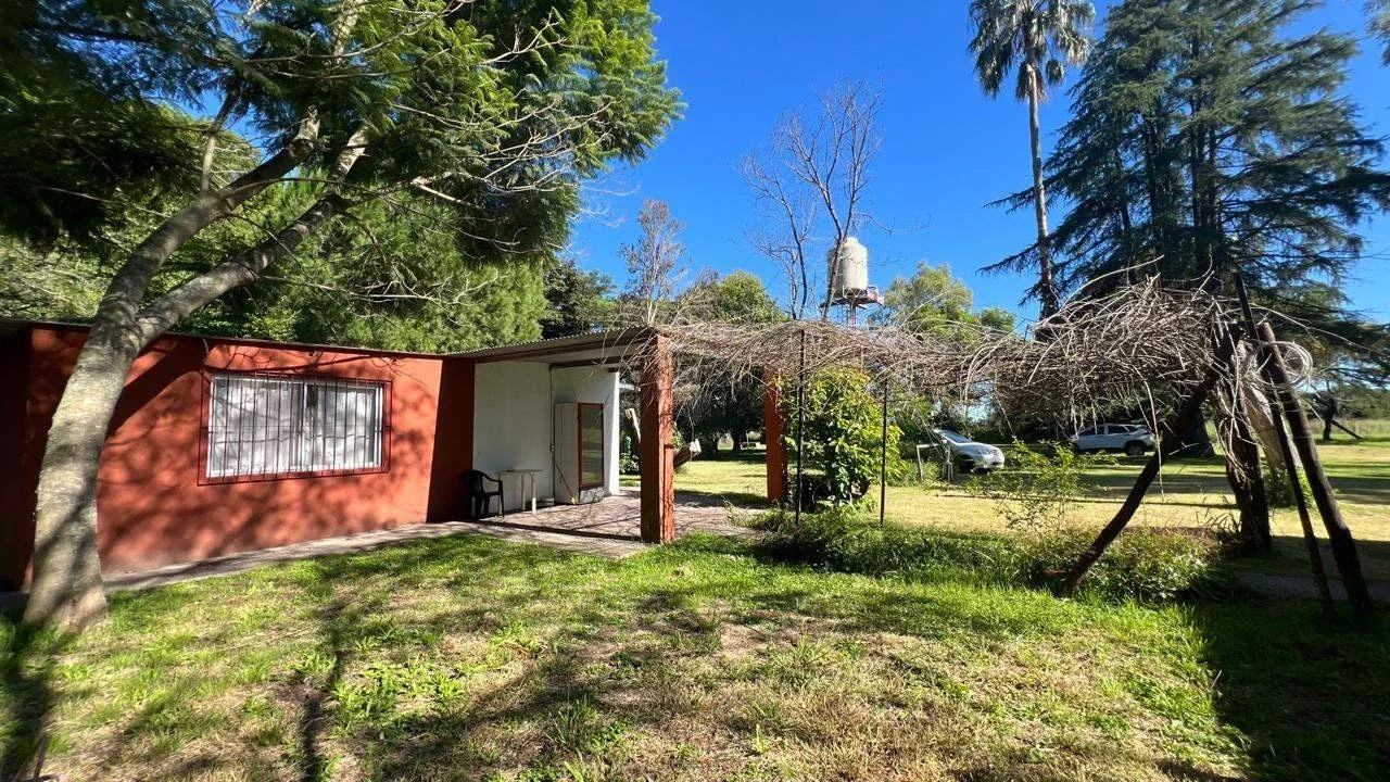 Campo "La Negrita" - Imagen 3