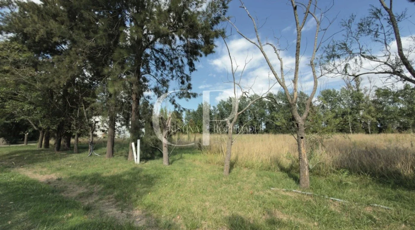Terreno / Lote en venta de 3000m2 ubicado en Altos de Mercedes - Imagen 4