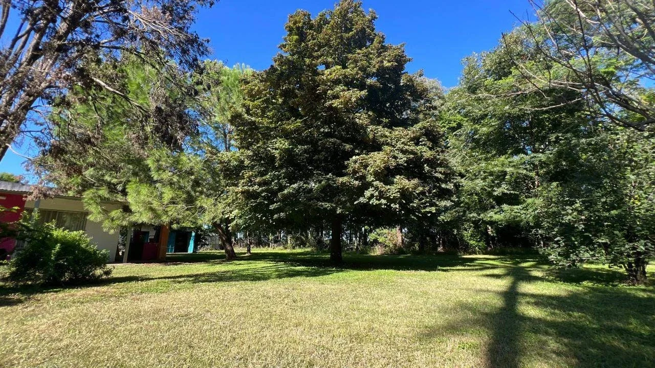 Campo "La Negrita" - Imagen 5