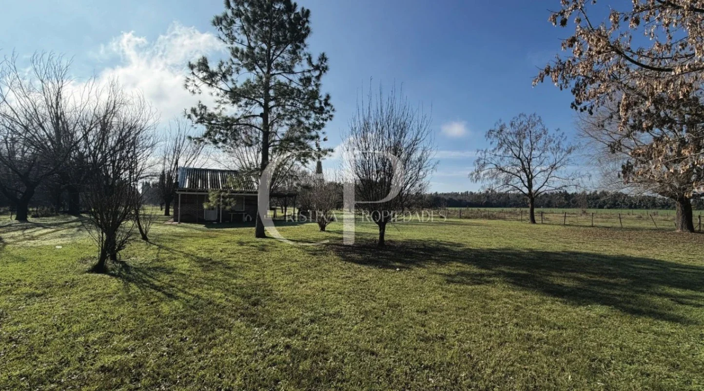 Campo en venta de 180000m2 ubicado en Mercedes - Imagen 1