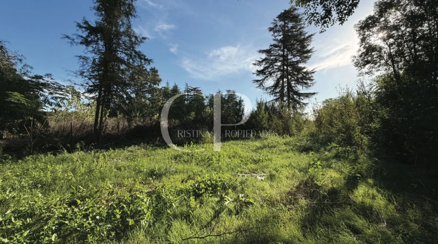 Terreno / Lote en venta de 1027m2 ubicado en Mercedes - Imagen 3