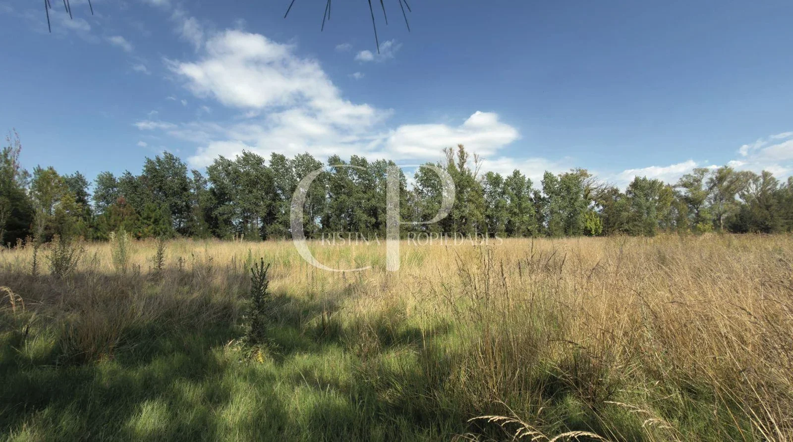 Terreno / Lote en venta de 3000m2 ubicado en Altos de Mercedes - Imagen 3