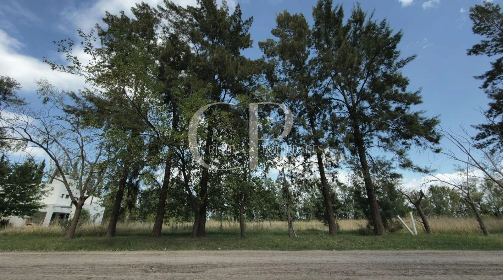Terreno / Lote en venta de 3000m2 ubicado en Altos de Mercedes - Imagen 2