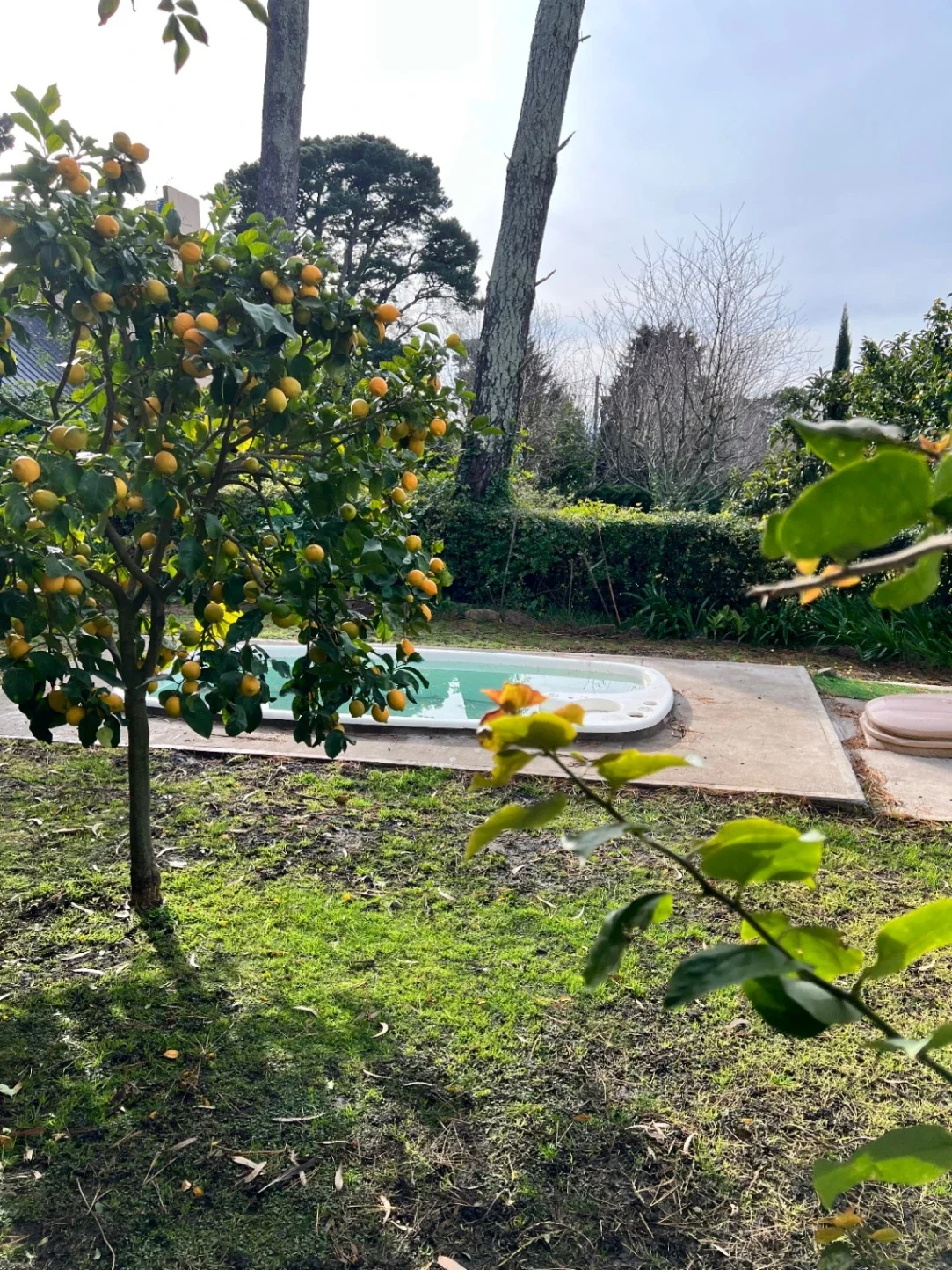 Chalet en venta c/ cochera en Sierra de los Padres - Imagen 4