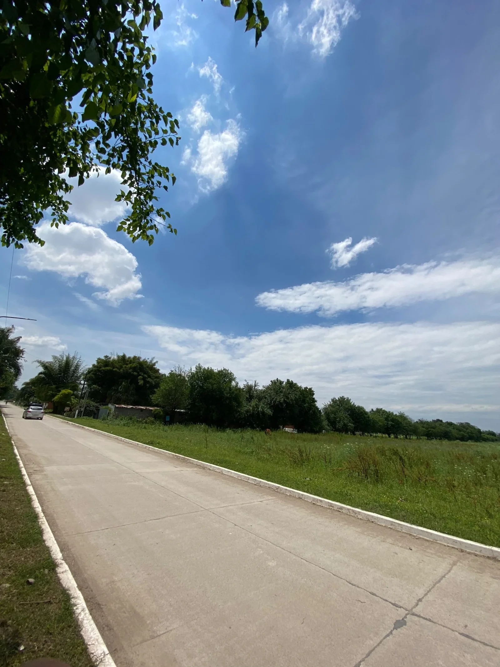 Terreno / Lote en venta de 42500m2 ubicado en Ingenio San Pablo - Imagen 2