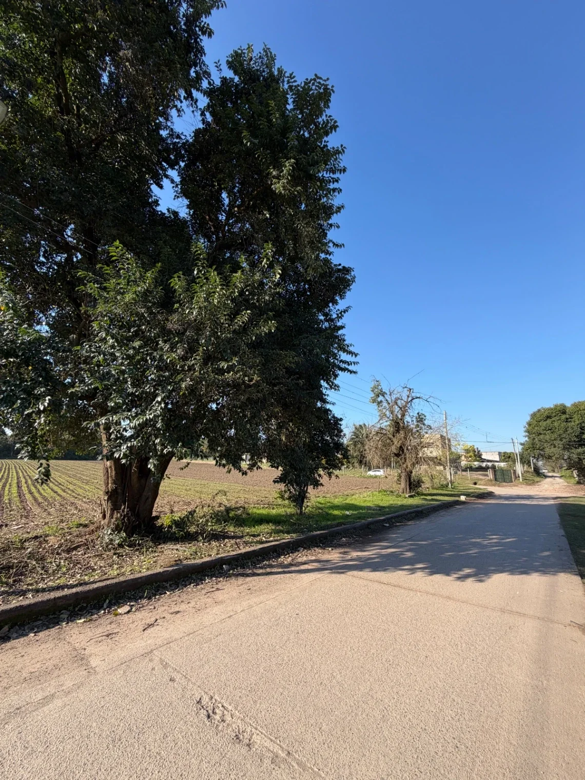 Terreno Venta 6.939,67m2 La Riconada, Manantial (a Mts de YB) Listo p/escriturar - Imagen 5