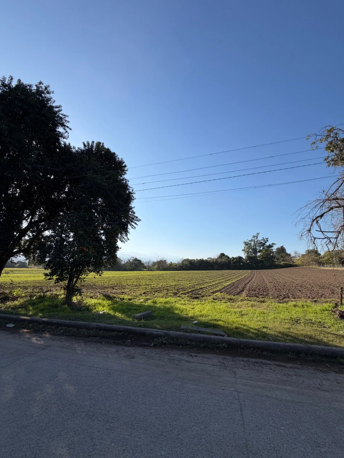 Terreno Venta 6.939,67m2 La Riconada, Manantial (a Mts de YB) Listo p/escriturar - Imagen 2