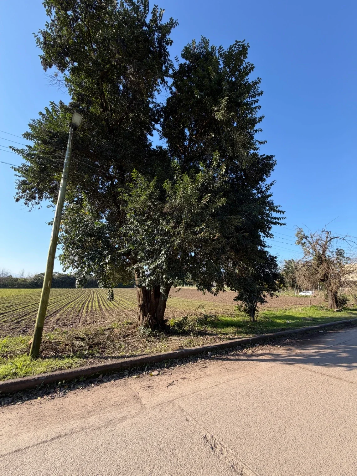 Terreno Venta 6.939,67m2 La Riconada, Manantial (a Mts de YB) Listo p/escriturar - Imagen 4