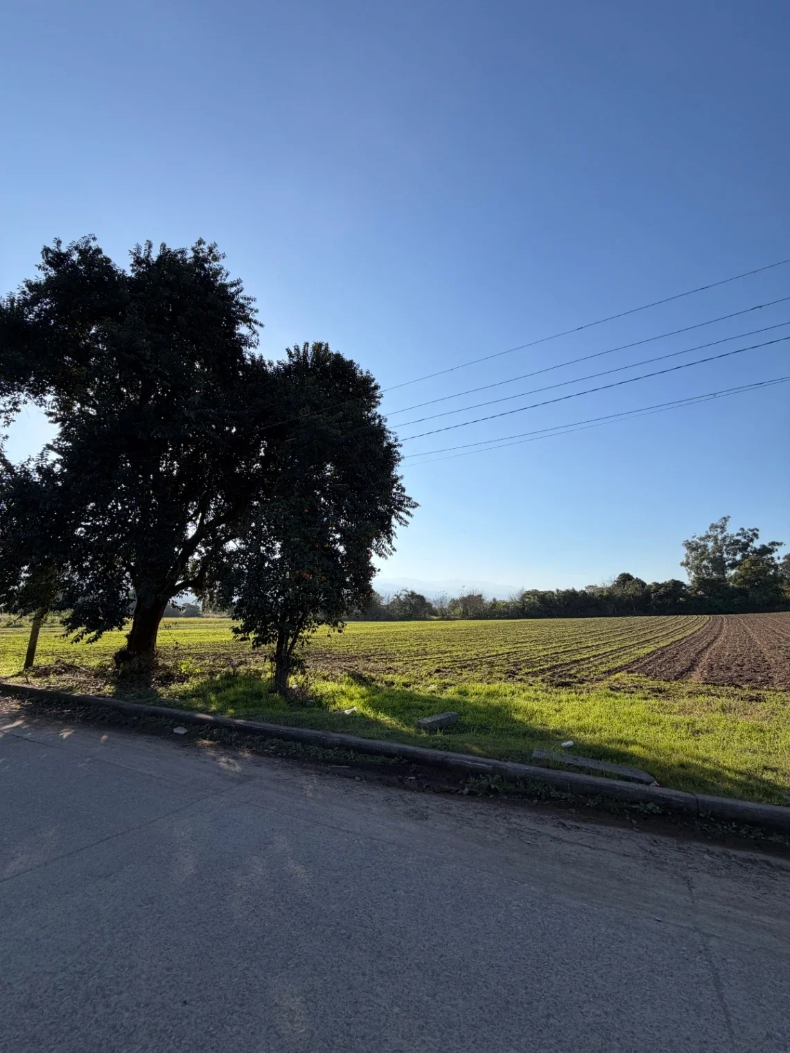 Terreno Venta 6.939,67m2 La Riconada, Manantial (a Mts de YB) Listo p/escriturar - Imagen 3