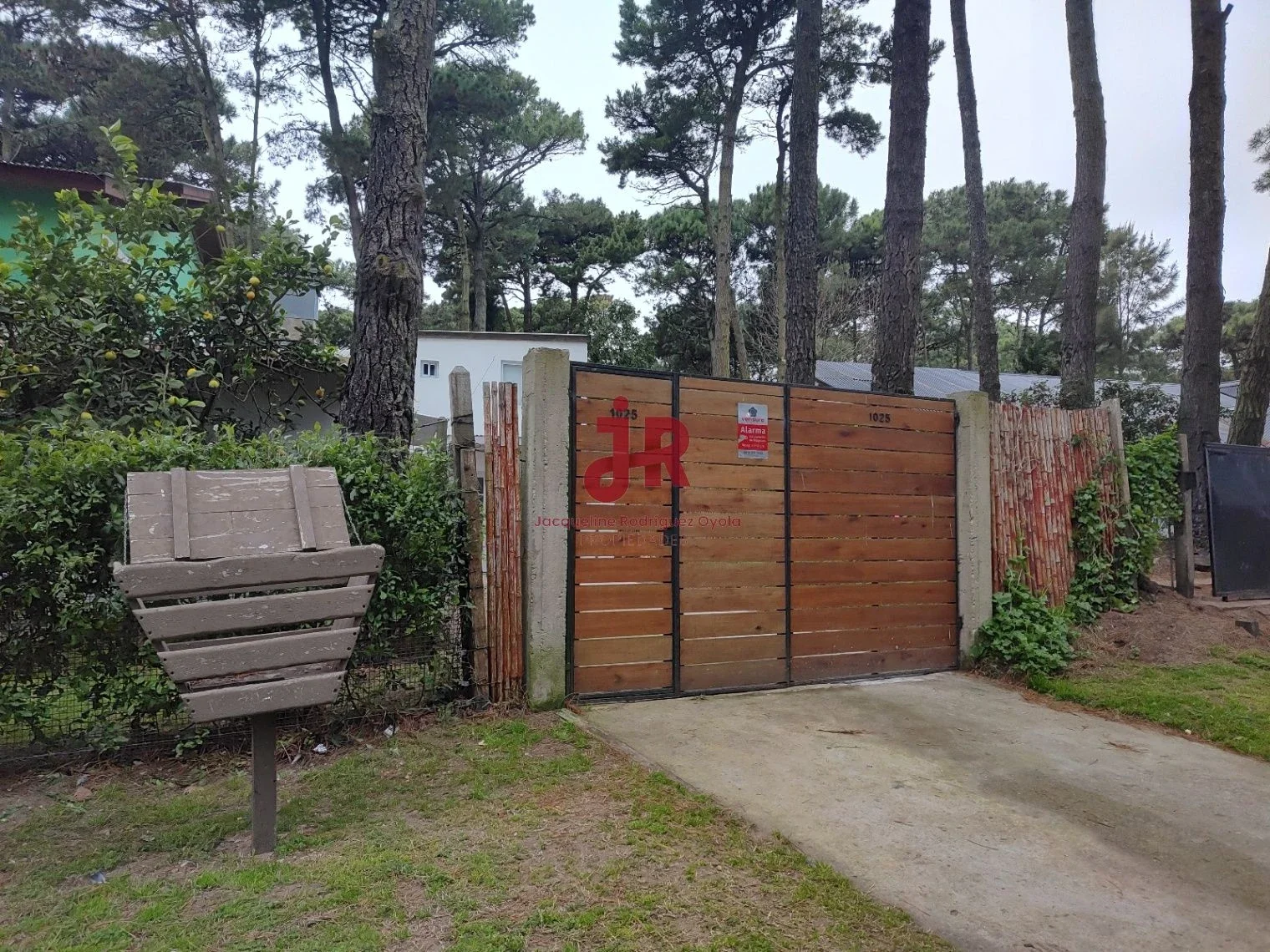 CODIGO 202 - DEPARTAMENTO DE 2 AMBIENTES - ALQUILER ANUAL - APTO PROFESIONAL - Imagen 1