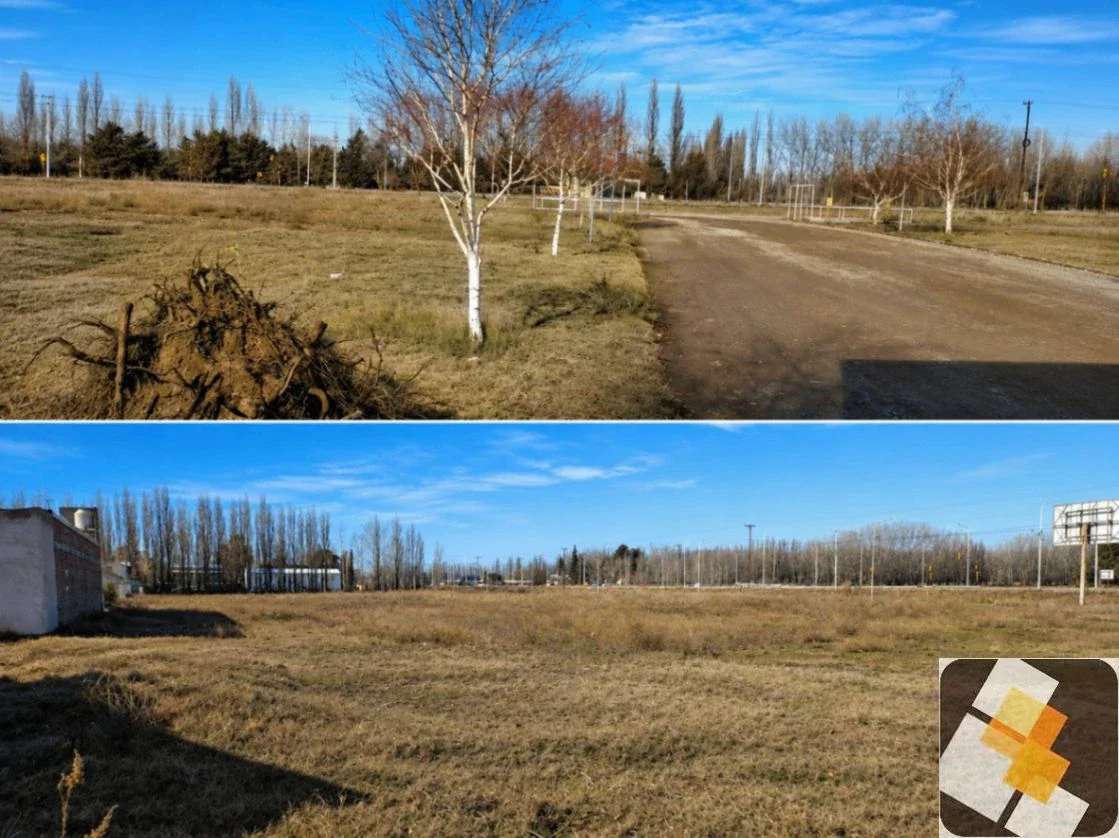 Terreno / Lote en venta de 1476672m2 ubicado en Plottier - Imagen 5