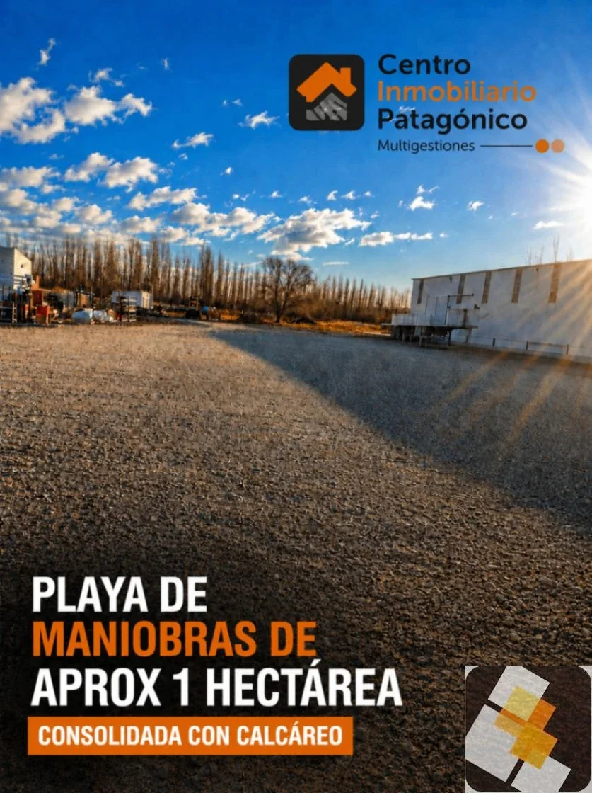Galpón en alquiler de 10000m2 ubicado en Plottier - Imagen 3