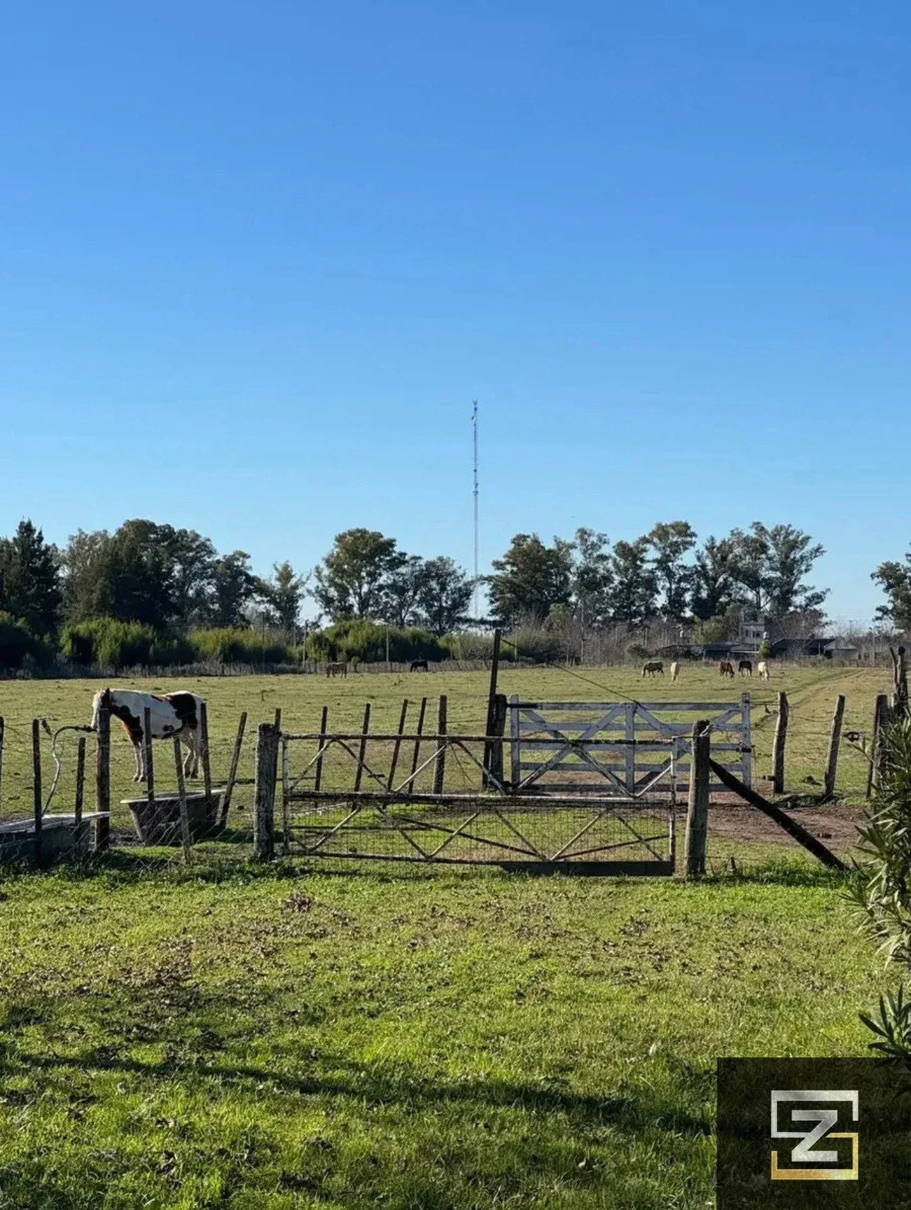 Campo en venta de 41ha ubicado en Cañuelas, ideal inversión. - Imagen 4