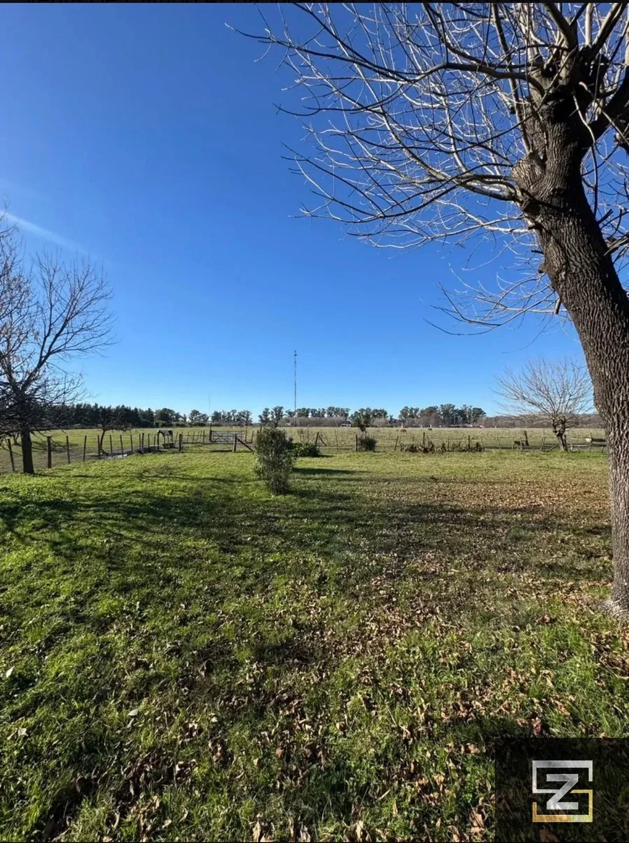Campo en venta de 41ha ubicado en Cañuelas, ideal inversión. - Imagen 2