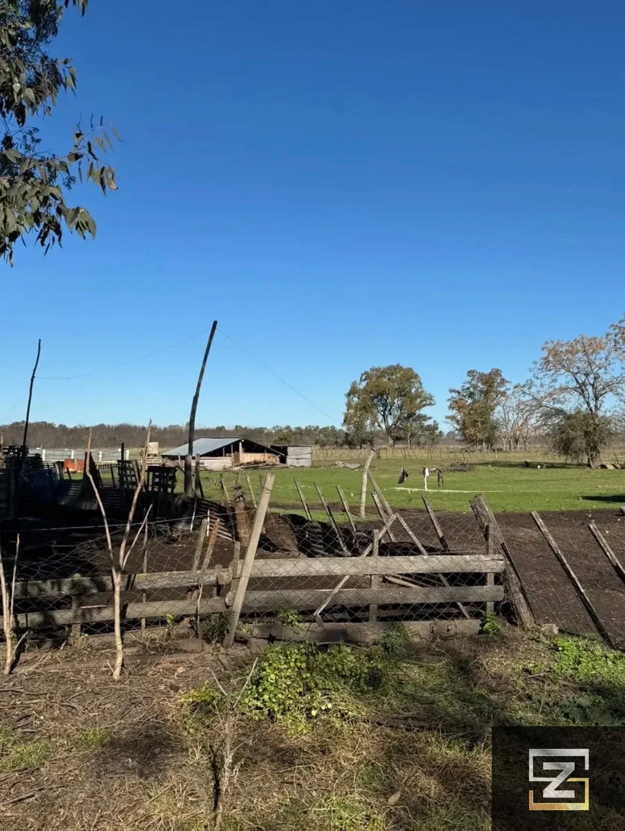 Campo en venta de 41ha ubicado en Cañuelas, ideal inversión. - Imagen 5