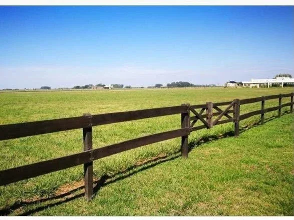 Terreno / Lote en venta de 10000m2 ubicado en Campos de Cañuelas - Imagen 2