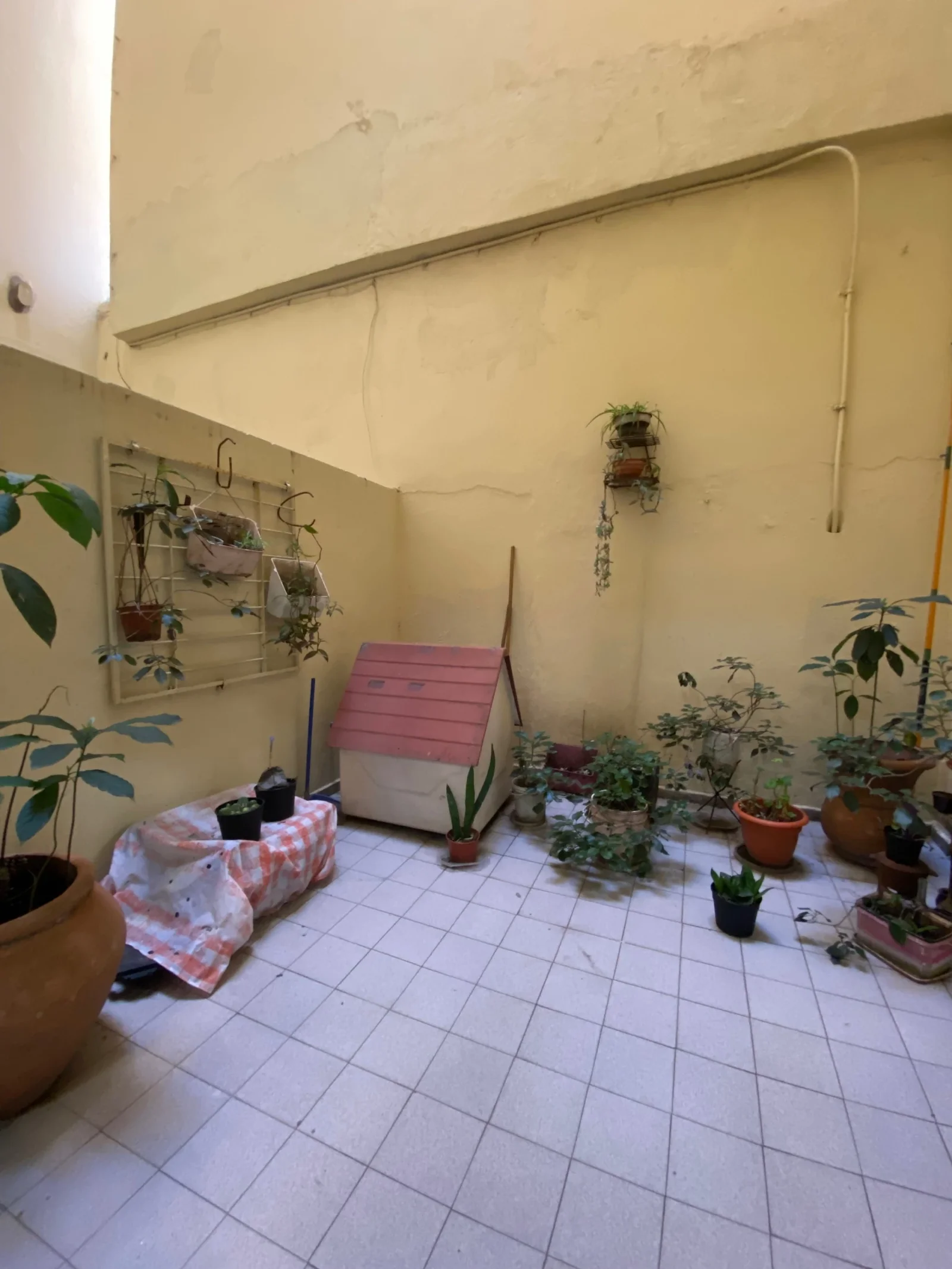 Departamento en venta en Terminal Vieja - Imagen 3