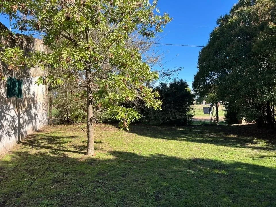 Terreno / Lote en venta de 800m2 ubicado en Cura Malal - Imagen 2