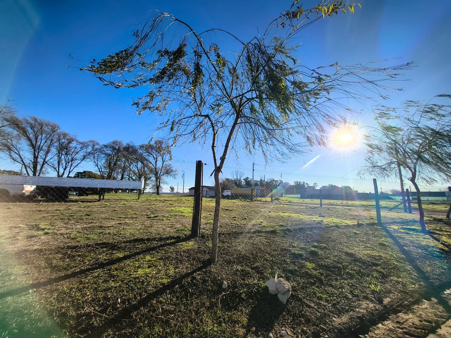 Terreno / Lote en venta de 732.91m2 ubicado en Coronel Suárez - Imagen 4